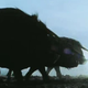 Illustration for article titled The Making of a Modern Fable: Inside emBeasts of the Southern Wild/em